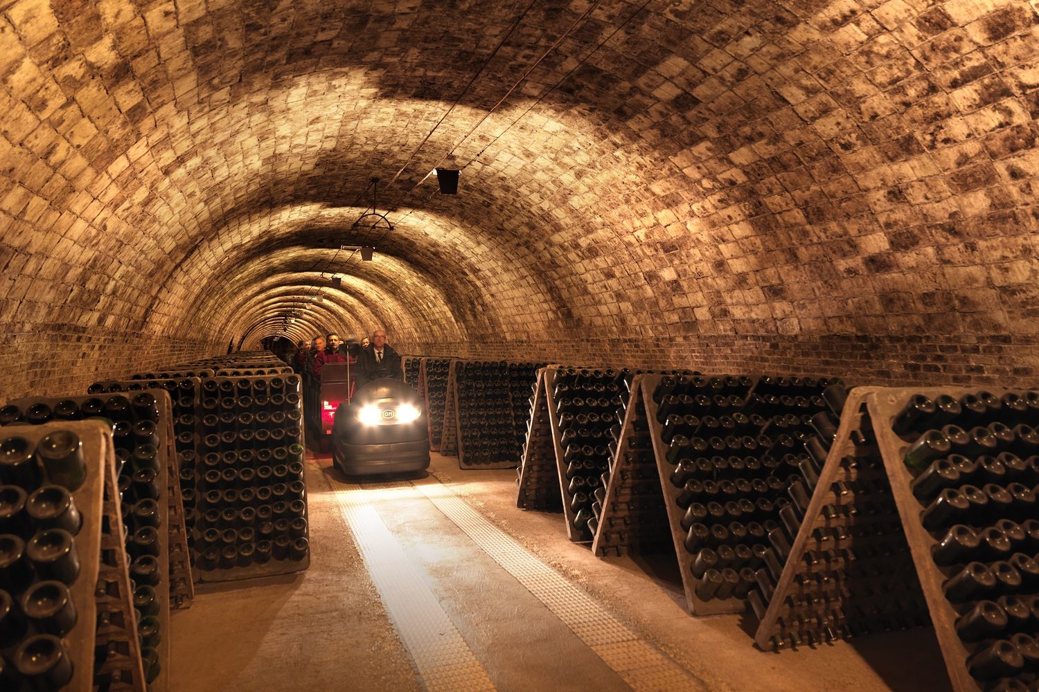 Bodegas Codorníu-10
