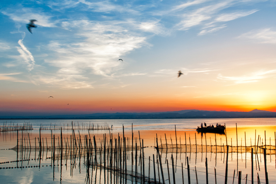 ✨⛵Escapada a la Albufera: Naturaleza, paseo en barca y relax cerca de Valencia. 🏩 Escapada de 4⭐ a un hotel con piscina y Paseo en barca 