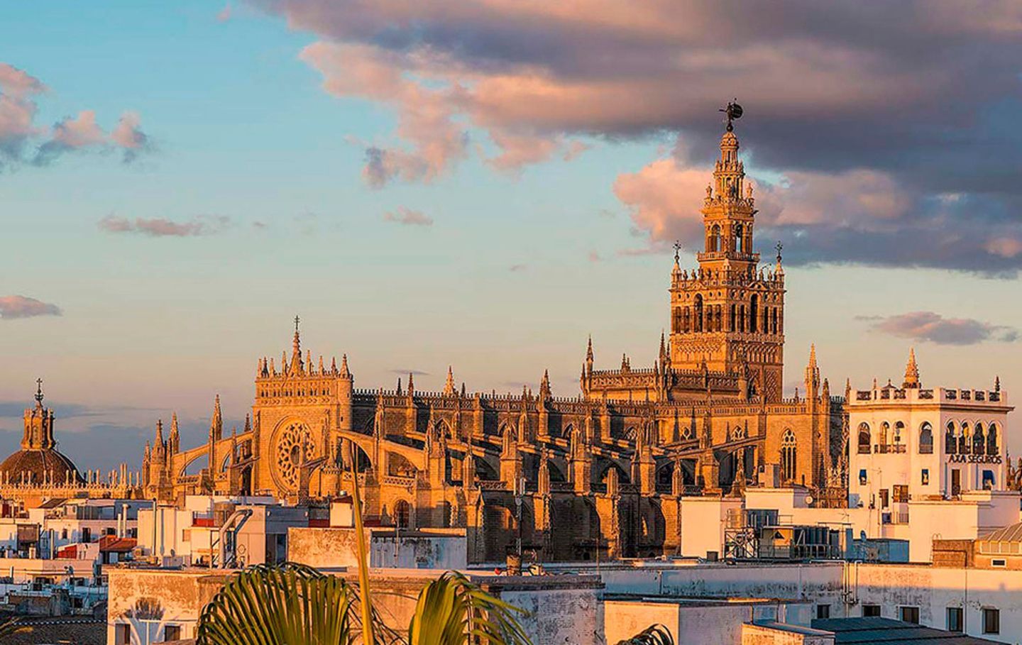 ✨Descubre las Maravillas de Sevilla con Hotel 4*✨ ✨Descubre las Maravillas de Sevilla con Hotel 4*✨