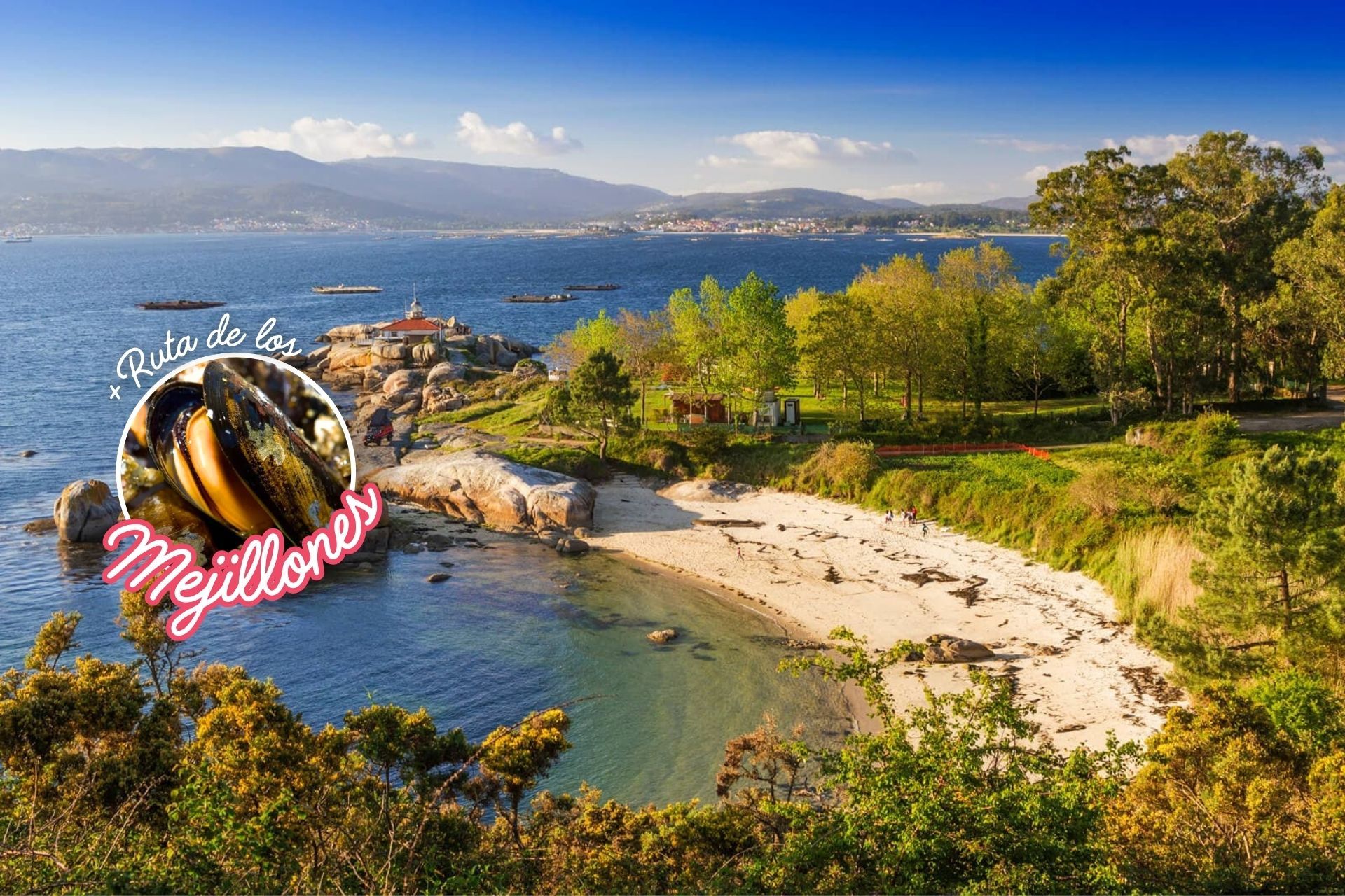 ESCAPADA A LAS RÍAS BAIXAS CON SABOR 🦪 🛳️ Desde 2 noches: Paseo en barco con degustación + apartamentos familiares en O'grove 🌸 Semana Santa