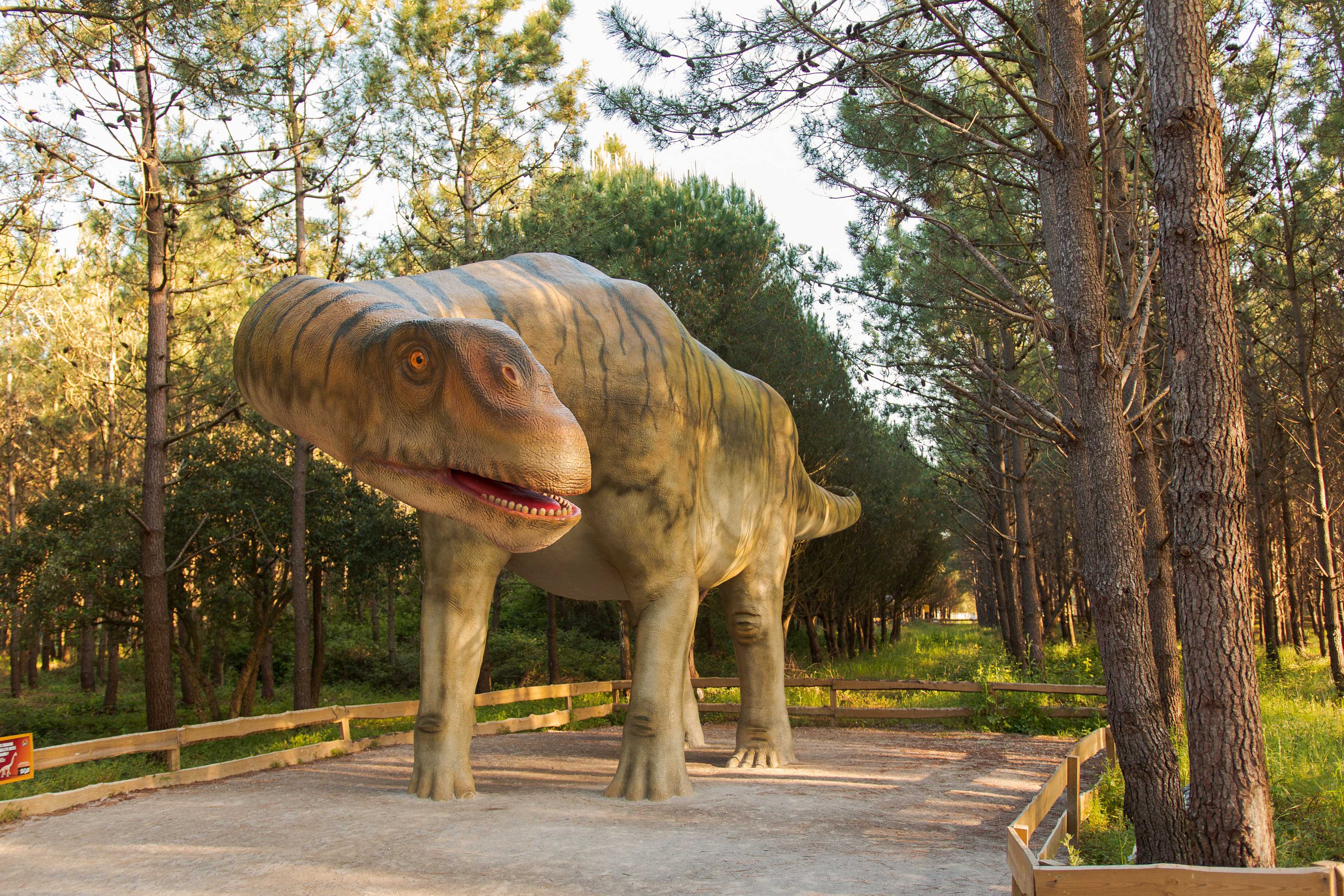 🐱‍🐉 AVENTURA CON DINOSAURIOS EN PORTUGAL 🦖 Dino Parque Lourinhã, el mayor parque al aire libre de Europa | Lisboa