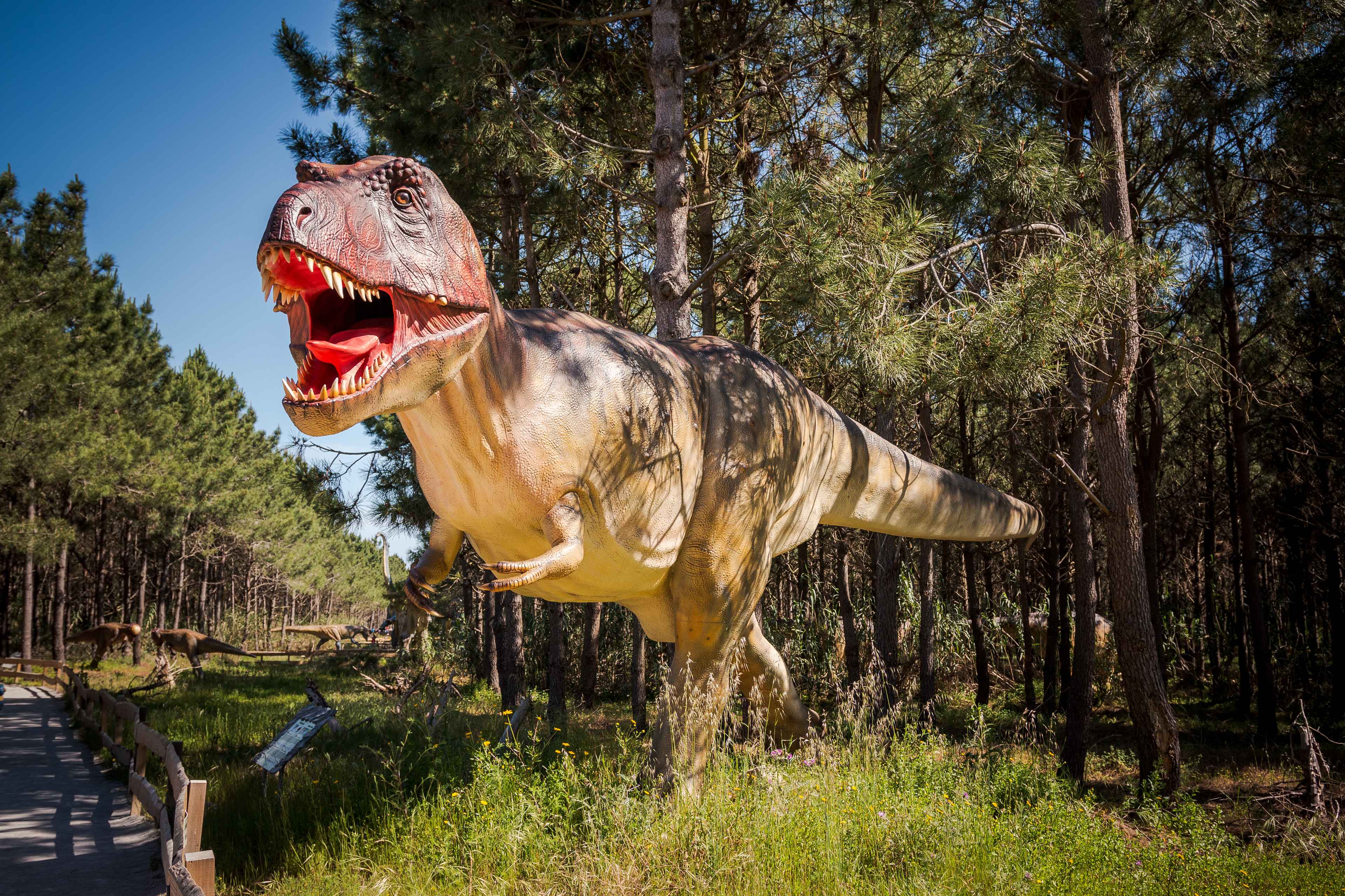 ¡El mayor Dinosaurio de Europa está en Portugal! 🐱‍🐉 Visita Dino Parque Lourinhã | Lisboa