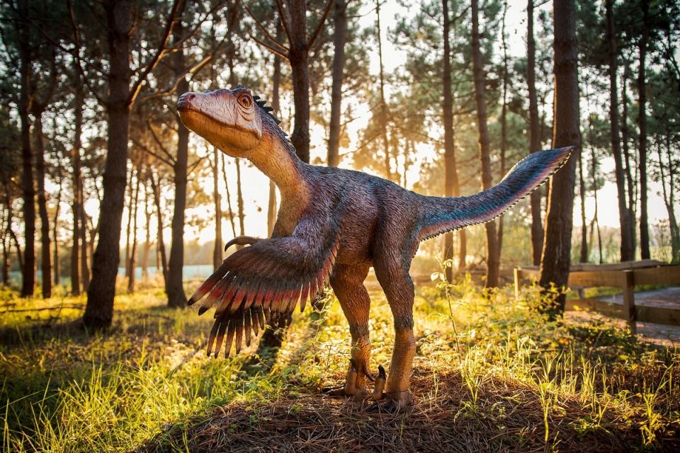 🦖 Visita ao Jurássico? É no Dino Parque Lourinhã! Hotel perto do Parque e Bilhetes incluídos 🦖 Visita ao Jurássico? É no Dino Parque Lourinhã! Hotel perto do Parque e Bilhetes incluídos