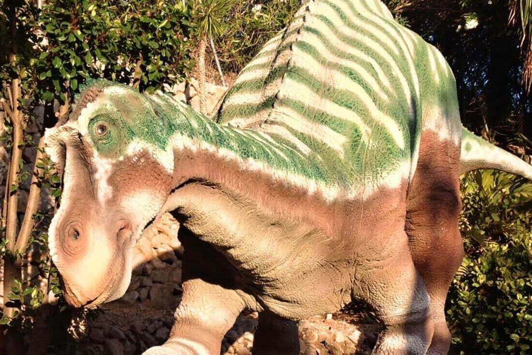 DinoPark Algar-9