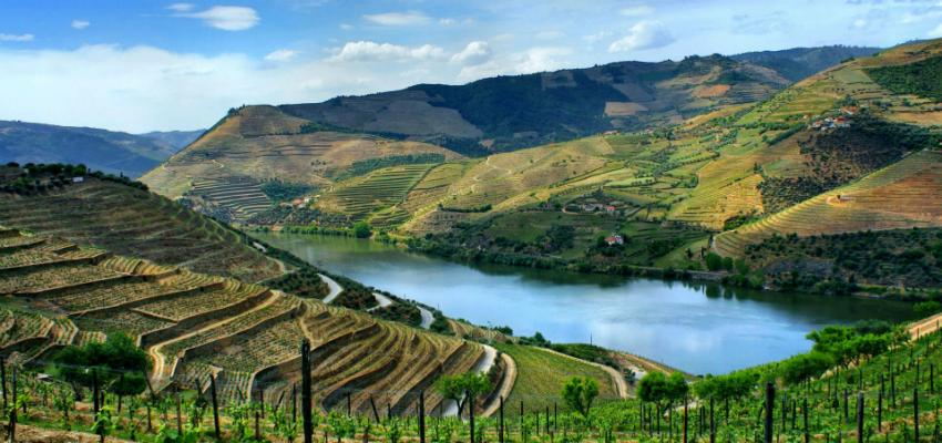 🚢 Douro, um segredo por Descobrir! Hotel com Pequeno-almoço incluido | Porto 🚢 Douro, um segredo por Descobrir! Hotel com Pequeno-almoço incluido | Porto