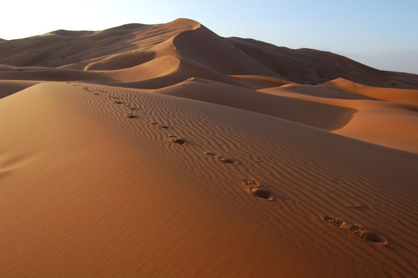 Excursión al desierto de Merzouga