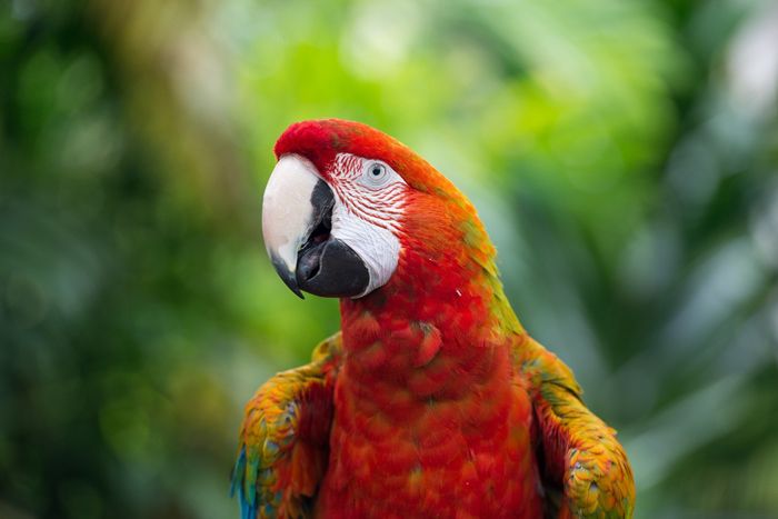 🙈¡DESCUBRE EL MUNDO ANIMAL EN FAUNIA!  Hotel + entradas | Madrid 🦜