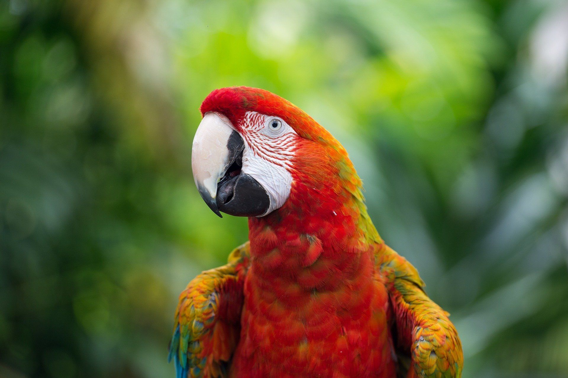 🙈¡DESCUBRE EL MUNDO ANIMAL EN FAUNIA! Hotel + entradas | Madrid 🦜 🙈¡DESCUBRE EL MUNDO ANIMAL EN FAUNIA! Hotel + entradas | Madrid 🦜