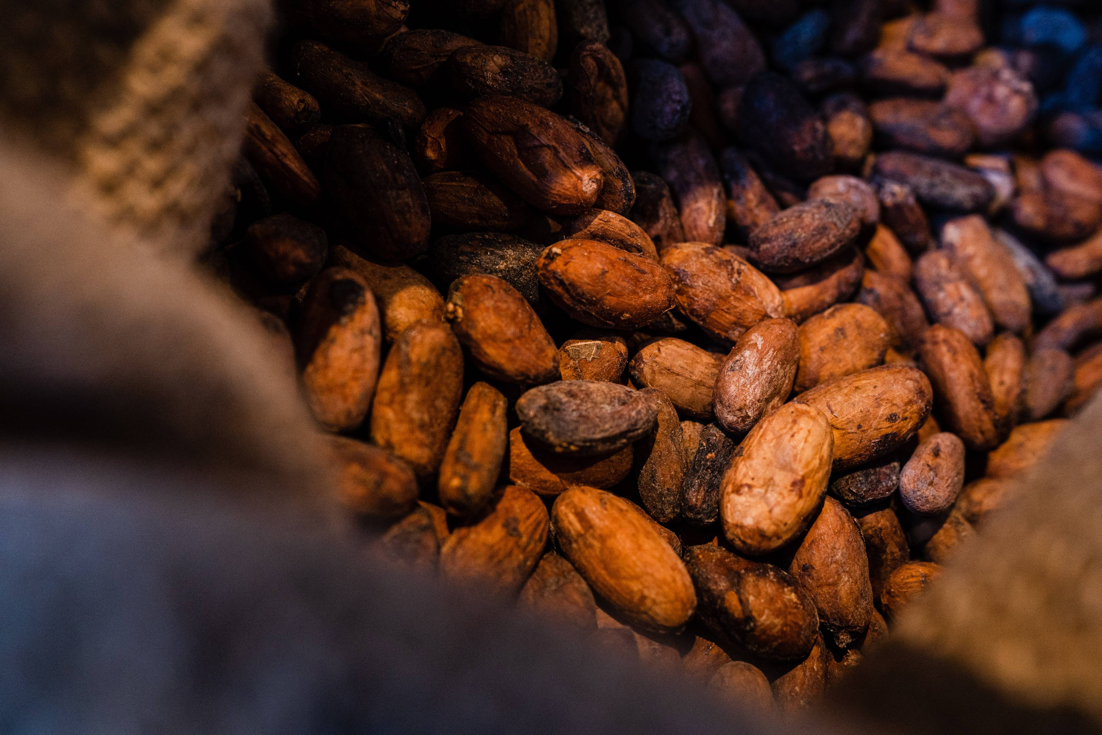 Festival Internacional do Chocolate de Óbidos