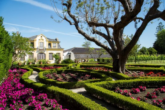 Escapadinha à Casa Museu José Maria da Fonseca com Hotel 4*