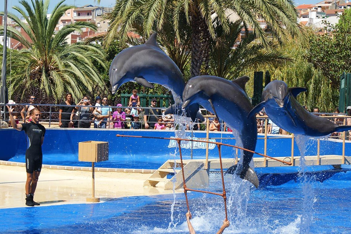 Marineland Cataluña-3