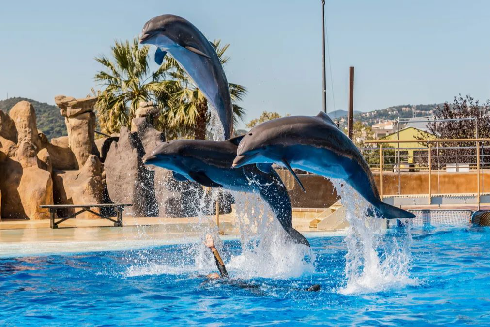 Marineland Cataluña-6