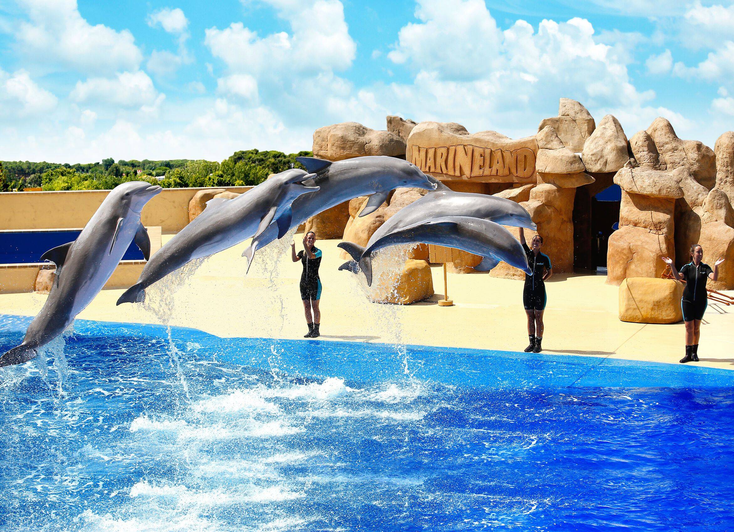 Marineland Cataluña-7