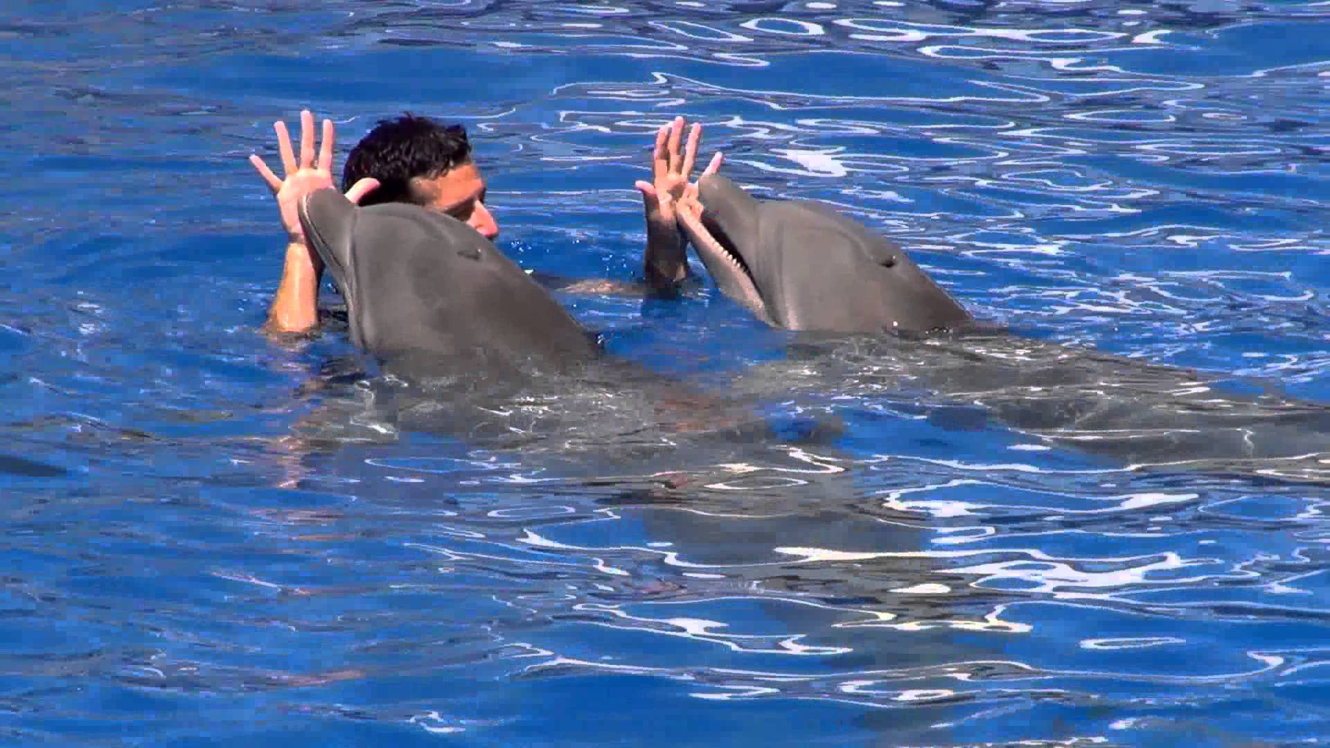 Marineland Mallorca-5