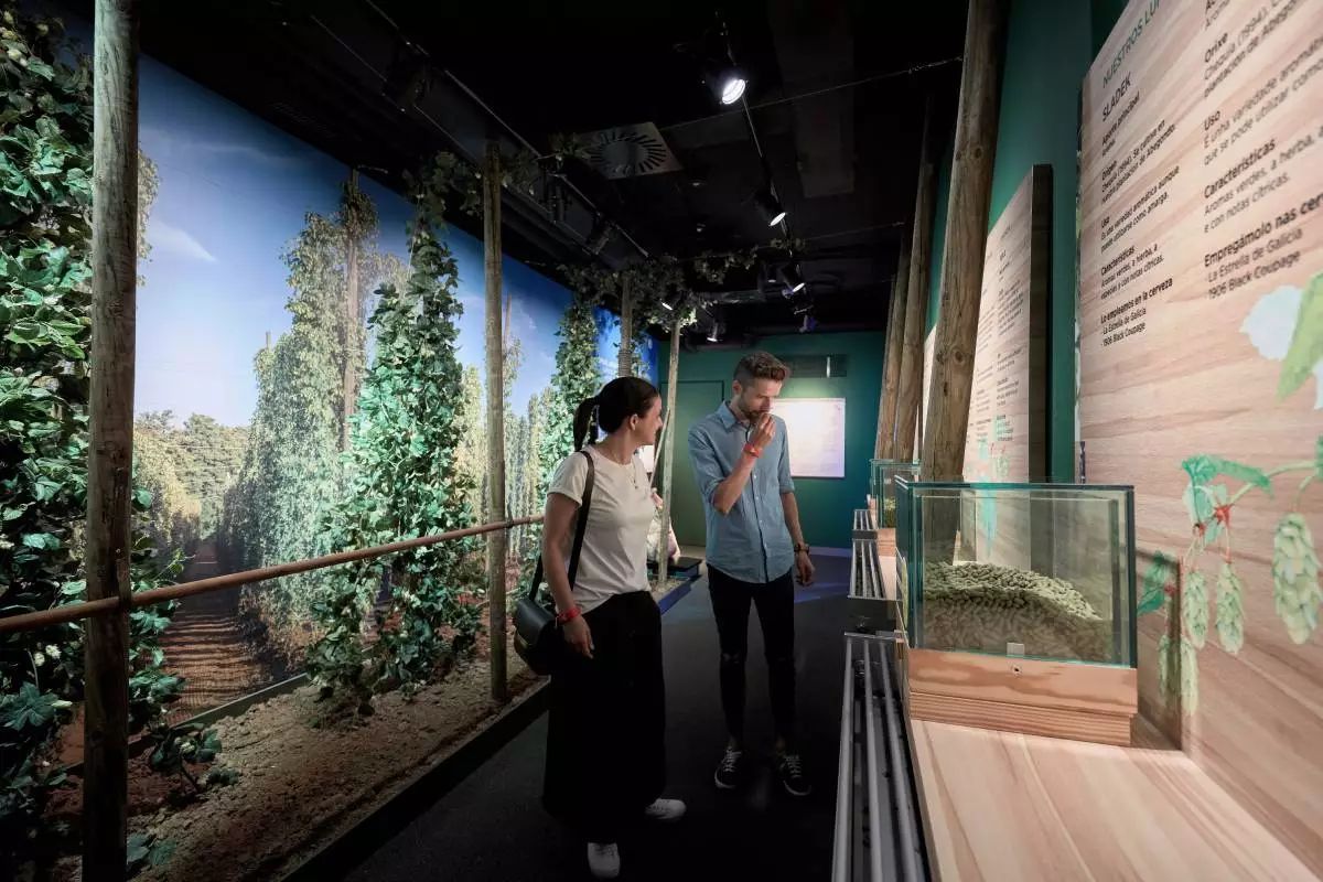 Mega Museo Estrella Galicia-5