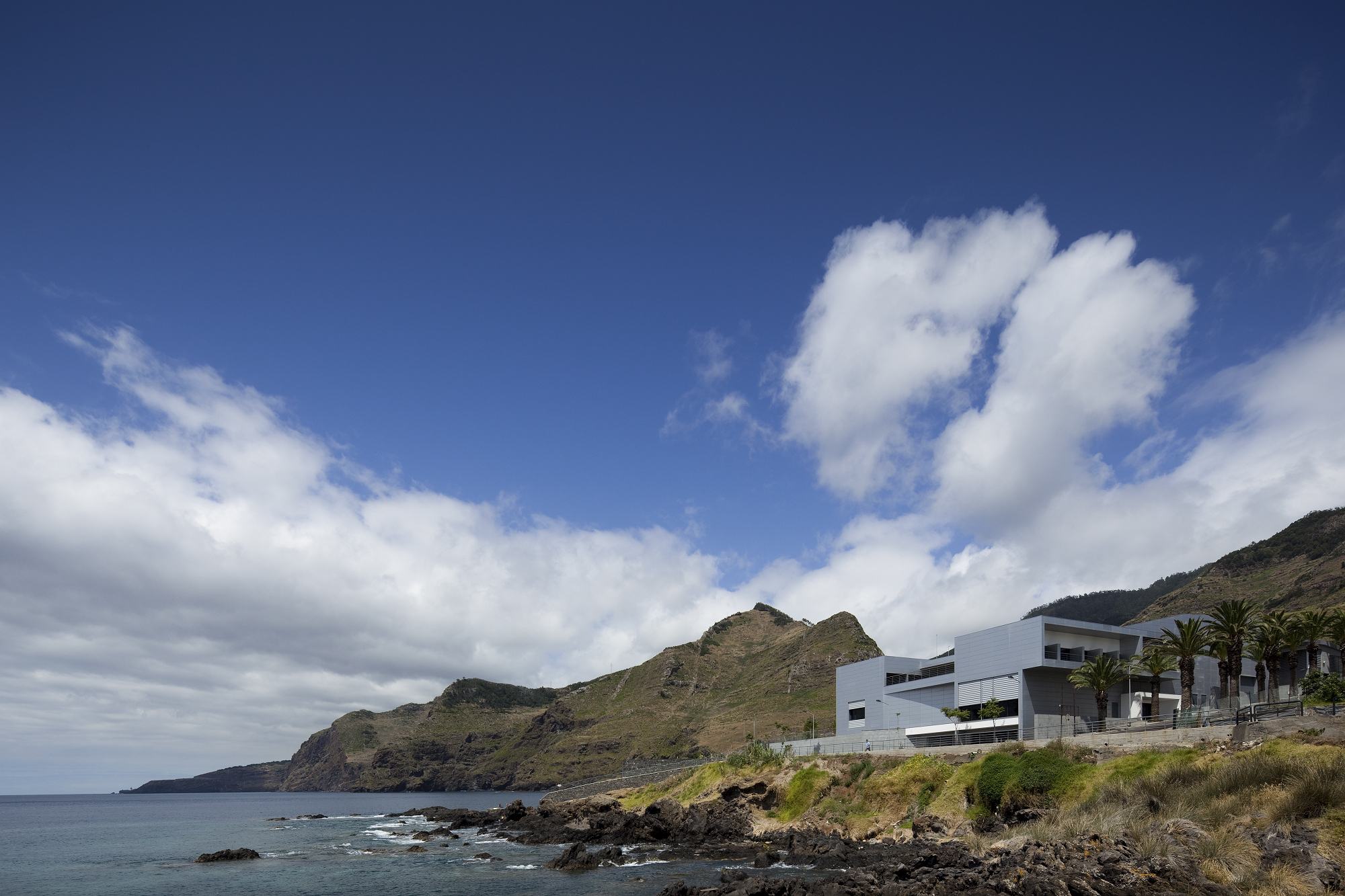 Museu da Baleia da Madeira-1