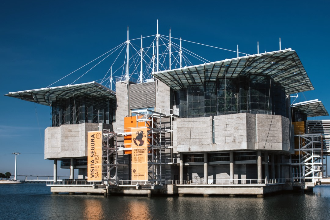 Oceanario de Lisboa-2