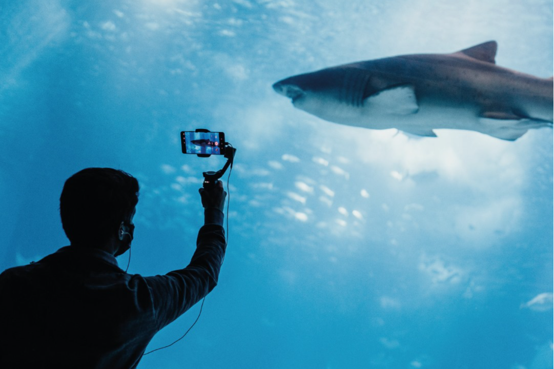 Oceanário de Lisboa + Hotel bem localizado