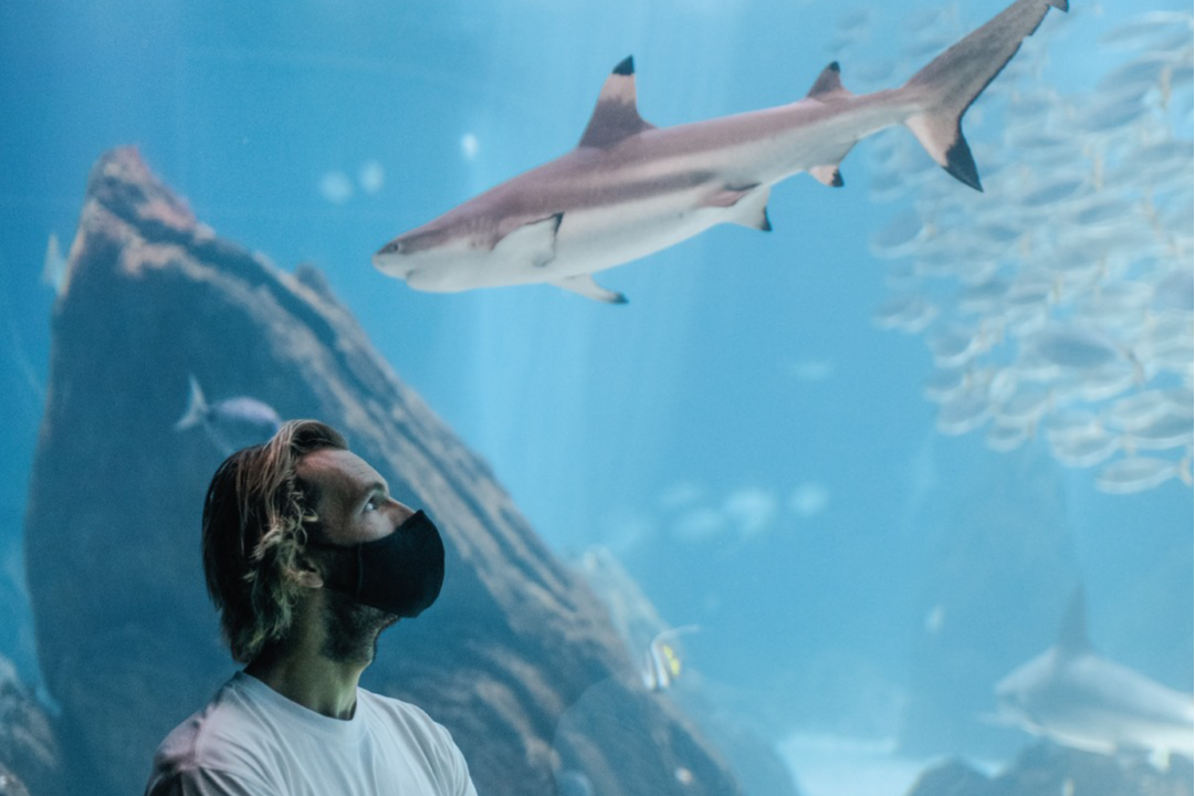 Oceanário de Lisboa-1