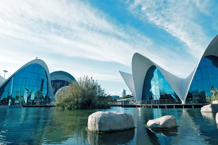 🐳 ESCAPADA EN FAMILIA 💦 Oceanogràfic València, el mayor acuario de Europa | Hotel + Entradas