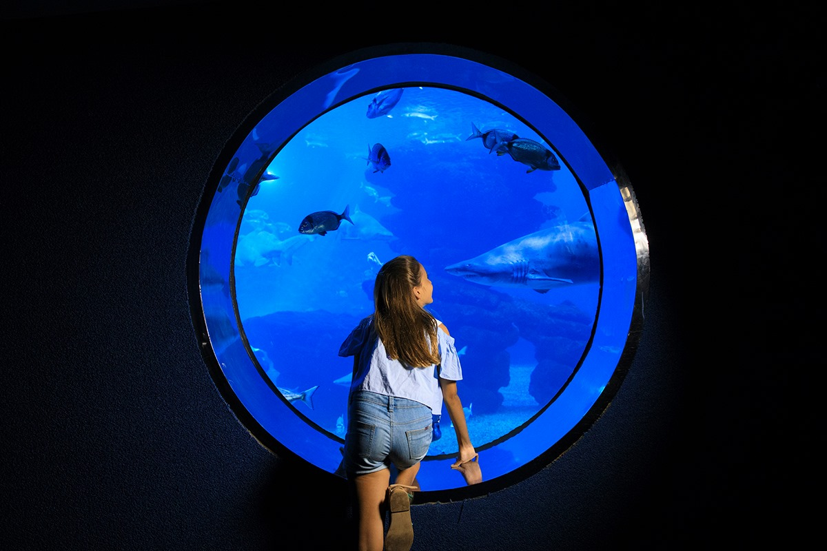 Palma Aquarium Mallorca-1