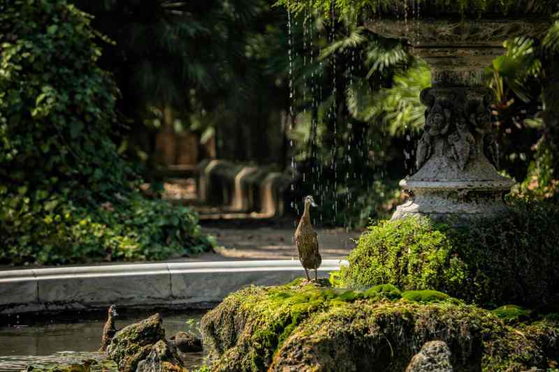 Parc Samá-4