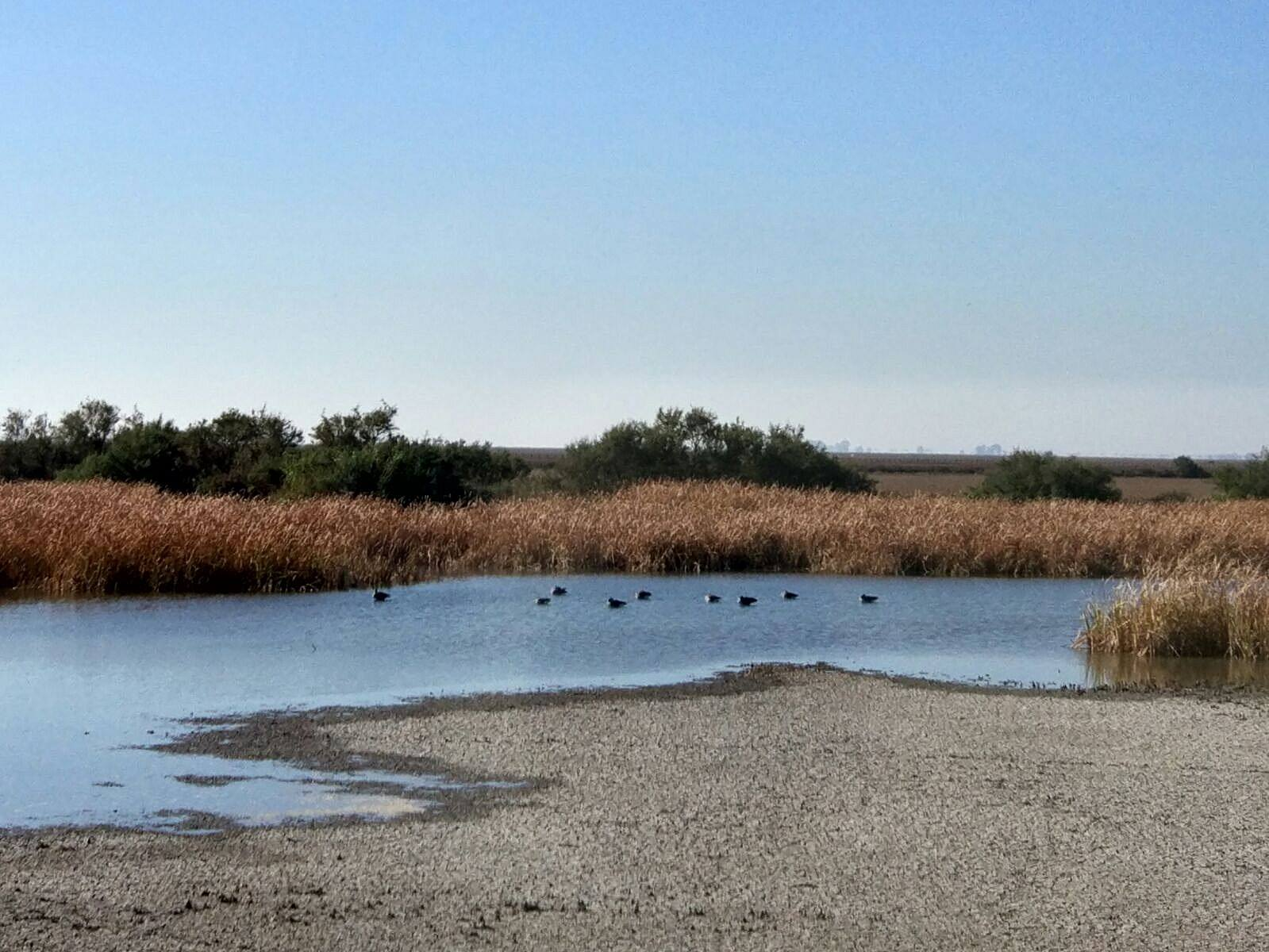 Ruta 4x4 Parque Nacional Doñana-2