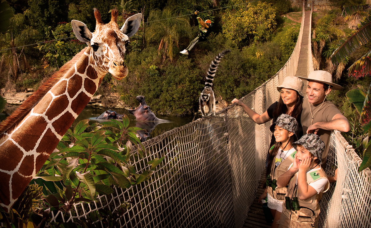 🐬¡TU AVENTURA ANIMAL EN MÁLAGA!🦁  Elige entre Selwo Marina o Aventura y alójate en un Hotel 4★ 🚗A 20 min de los parques | Estepona