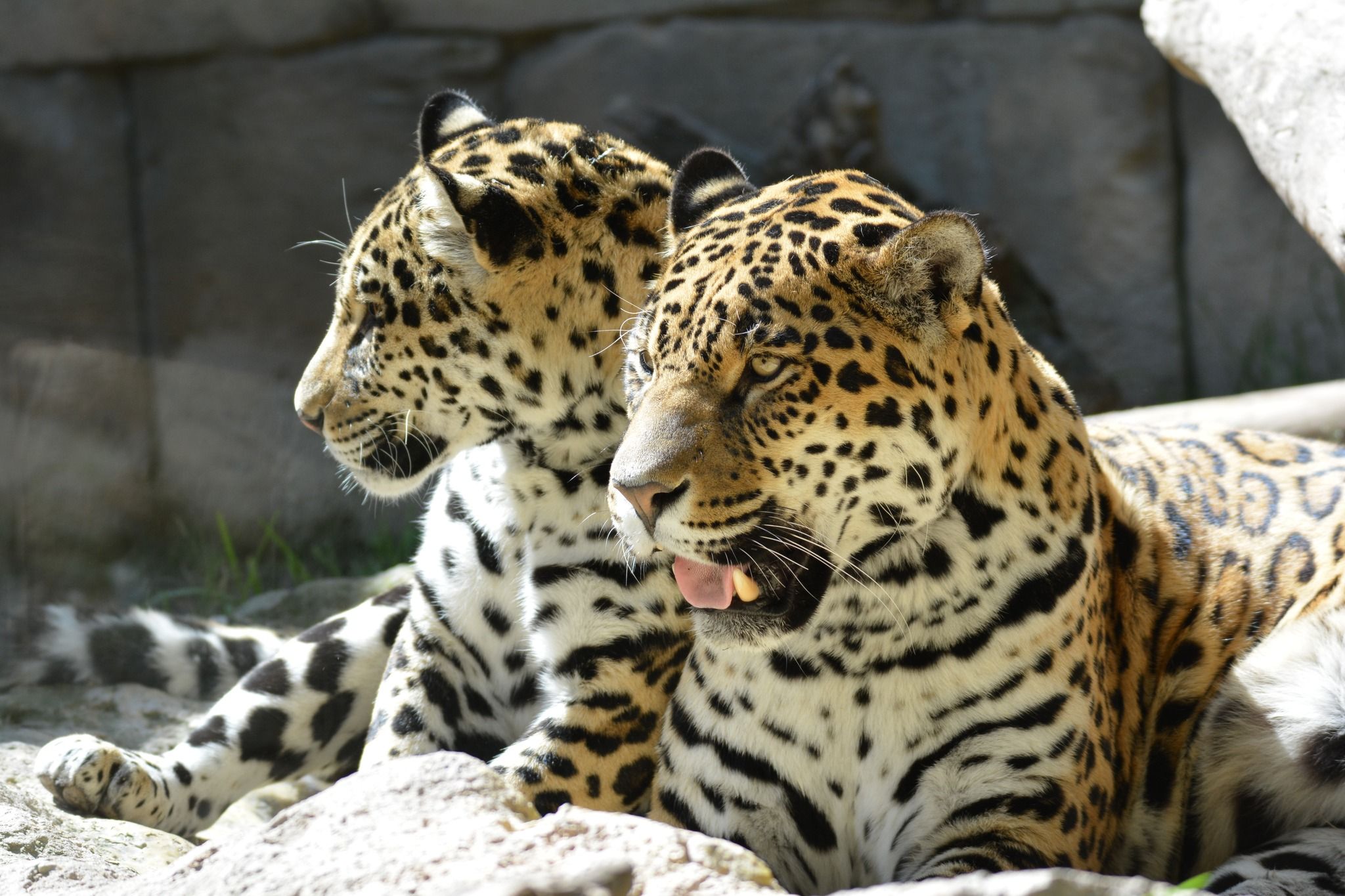 Terra Natura y Aqua Natura Benidorm-5
