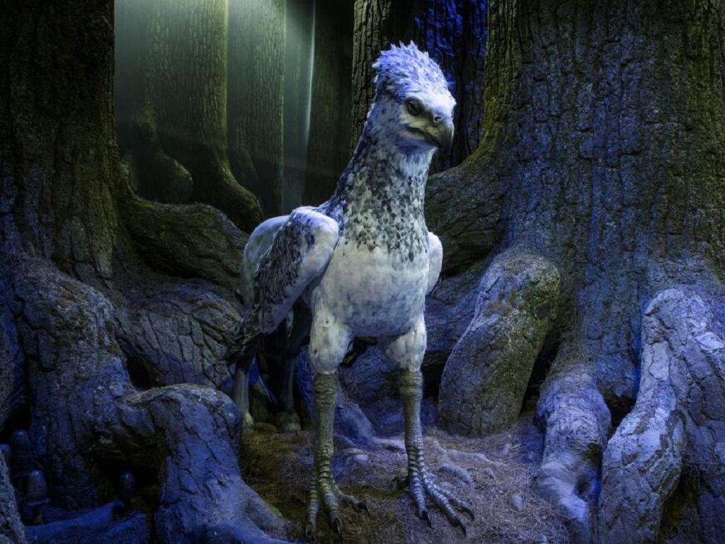 Studio Warner Bros Harry Potter-5