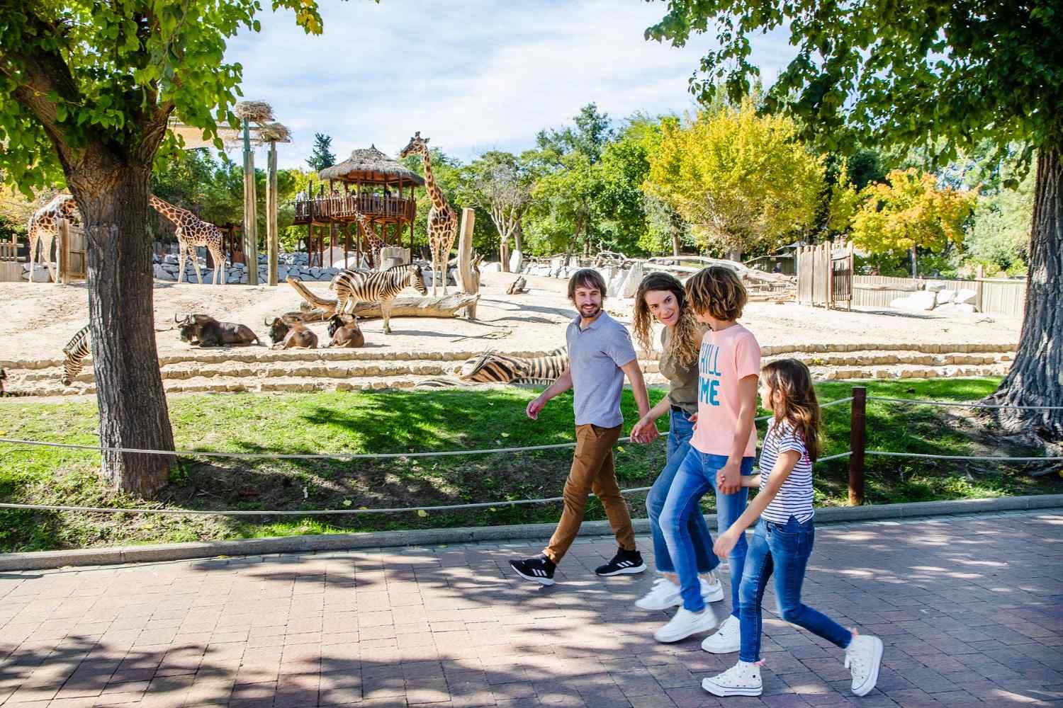 Zoo Aquarium de Madrid-16