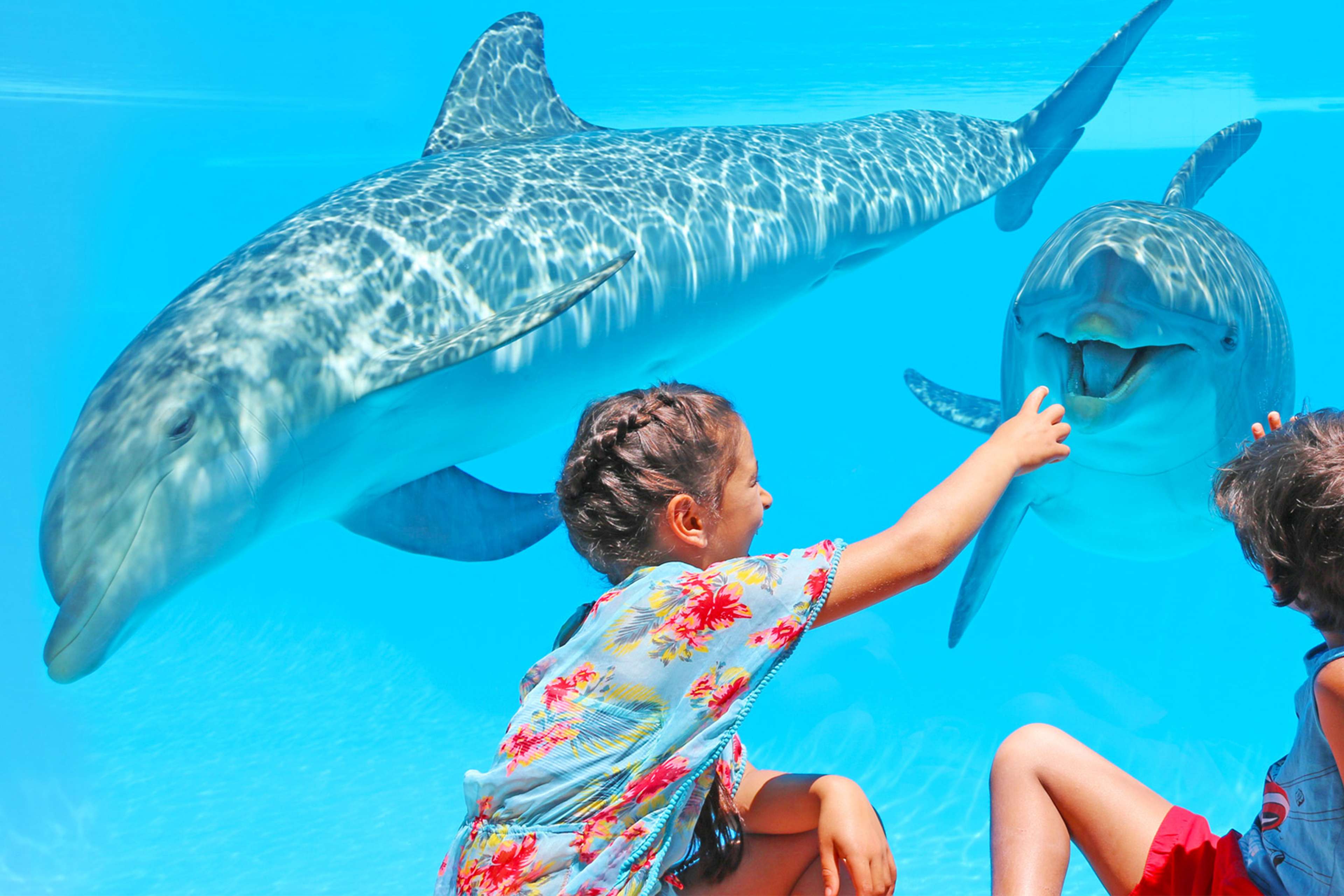 ¡Vacaciones acuáticas en Algarve! 🤿 EXPLORA EL MUNDO ZOOMARINE  🐬 Aparthotel con entradas incluidas | Portugal 