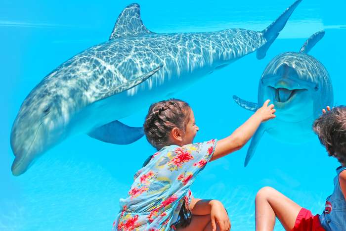 🤿 EXPLORA EL MUNDO ZOOMARINE EN ALGARVE  🐬 Hotel Balaia Atlantico con entradas incluidas | Portugal 