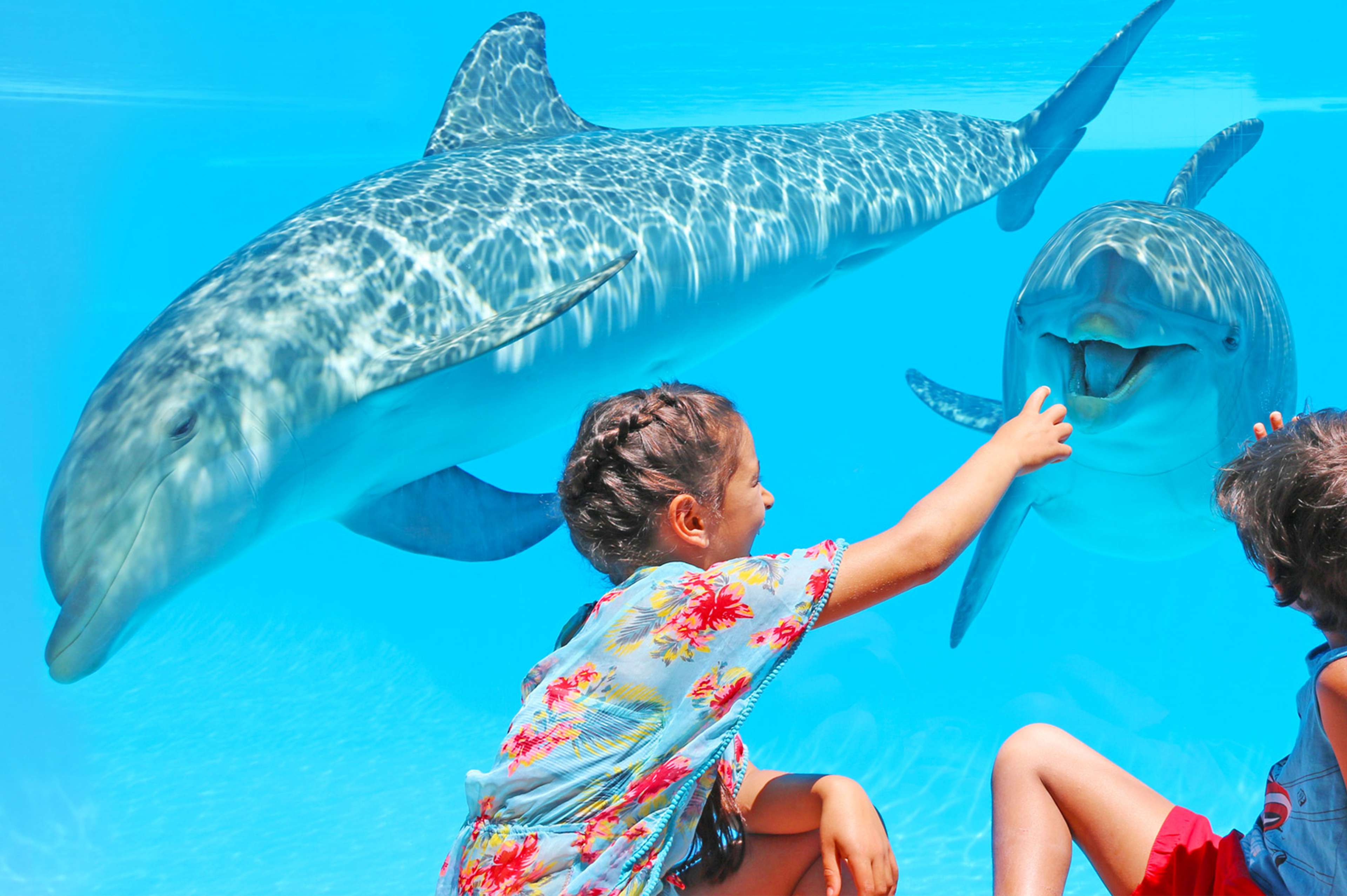 🤿 EXPLORA EL MUNDO ZOOMARINE EN ALGARVE 🐬 Hotel Balaia Atlantico con entradas incluidas | Portugal 🤿 EXPLORA EL MUNDO ZOOMARINE EN ALGARVE 🐬 Hotel Balaia Atlantico con entradas incluidas | Portugal