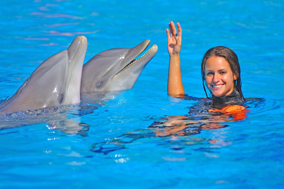 ¡Escapada familiar a Zoomarine!🐬 Mucha diversión y delfines en Algarve con Hotel 🐬
