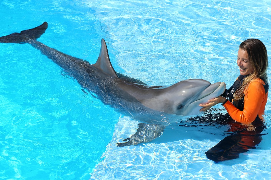 EXPLORA EL MUNDO ACUATICO DE ZOOMARINE 🐬 Hotel con entradas incluidas | Portugal