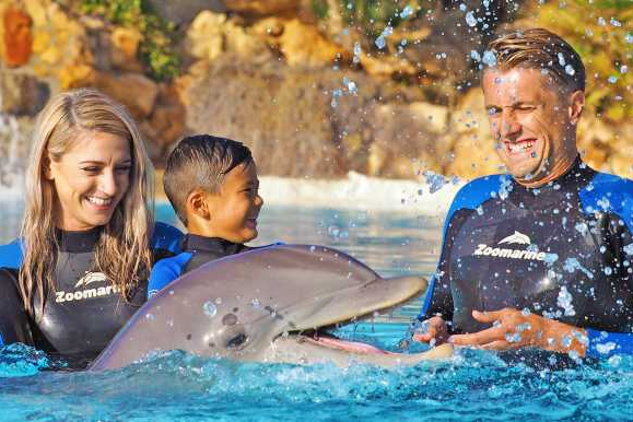 Dolphin Emotions, interação com golfinhos no Zoomarine